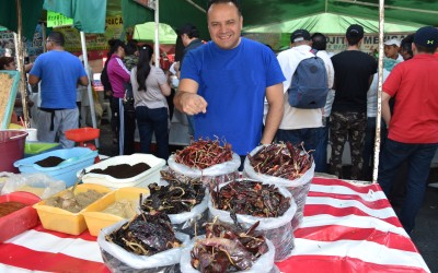 An Oasis for foodies :  The Mexican Street Markets