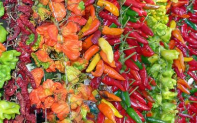 How well do you know your chillies?
