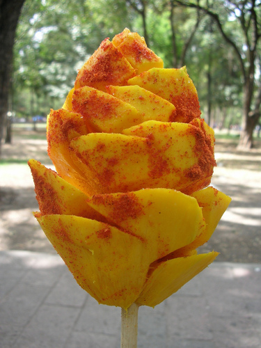 mango flower
